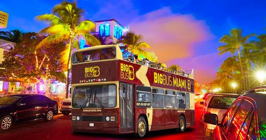 Big Bus Miami Night Tour (Blue Line)