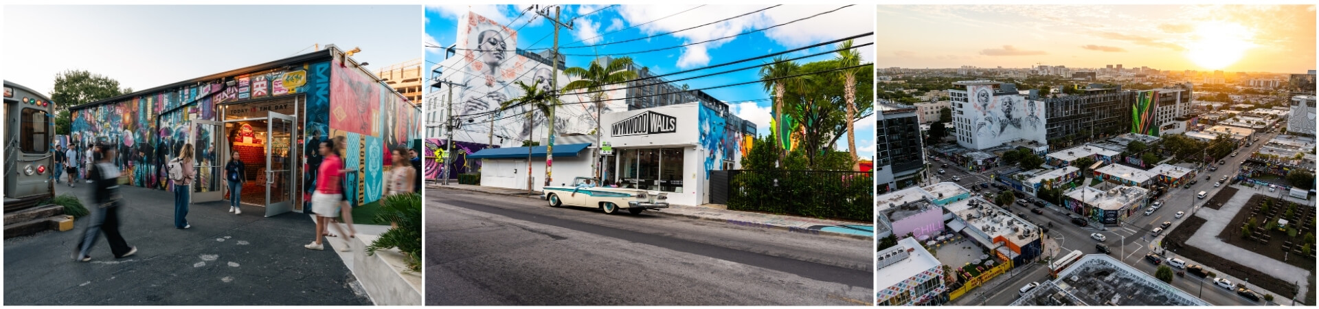 Wynwood Walls Museum Skip The Ticket Line