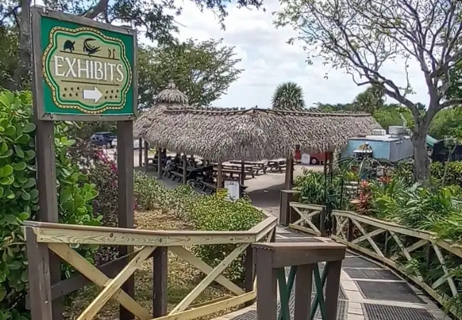Miami Everglades Experience With Transfer